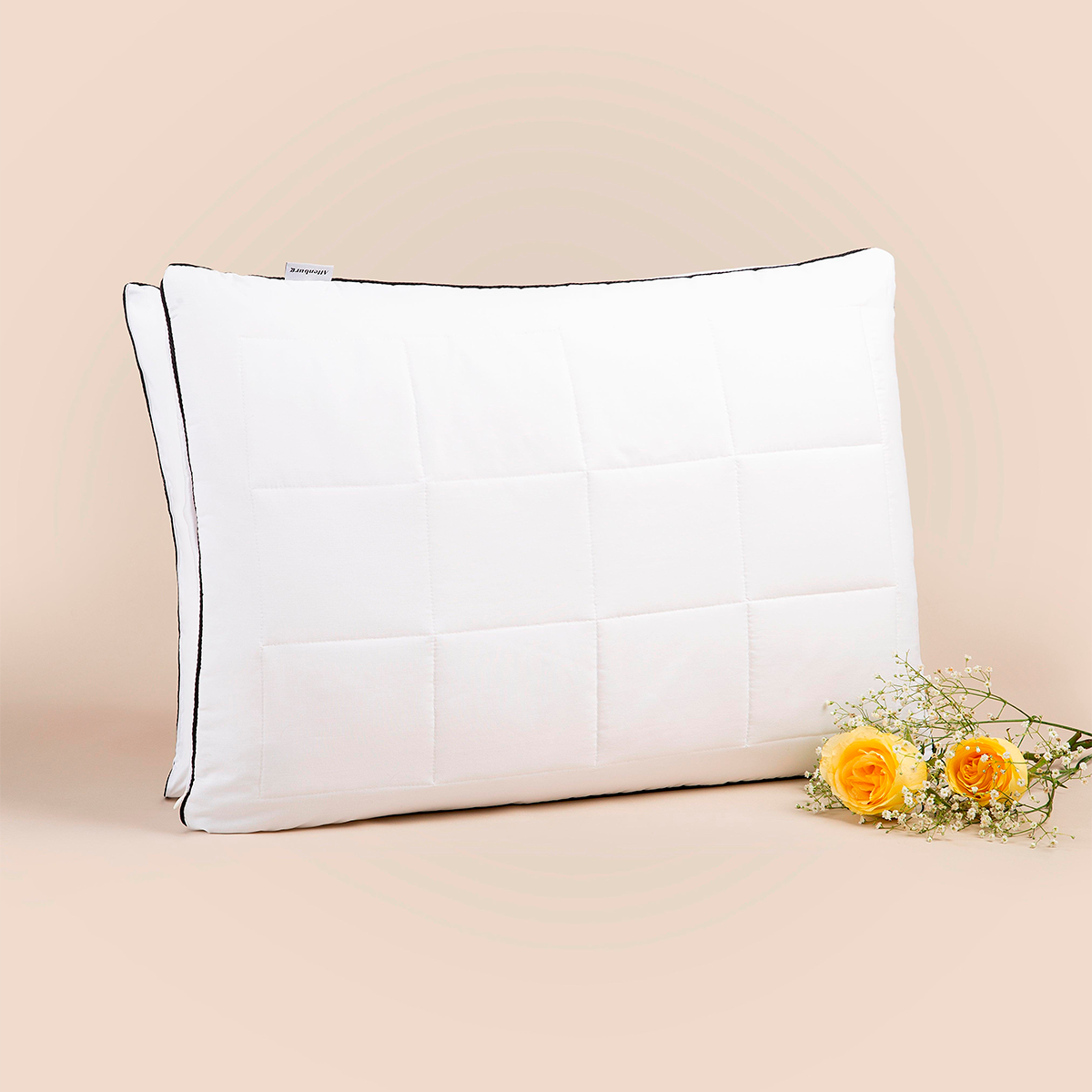 Kopfkissen Signature 45x65 cm - Altenburg - Memomad